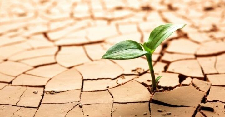 از بین رفتن باغات بدلیل خشک شدن دریاچه ارومیه و کم‌آبی