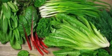 رژیم غذایی گیاهی؛ راهی پایدار برای سلامت بدن، روان، محیط زیست و حقوق حیوانات