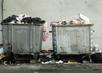 جوی شهری که در آن موش و بطری روان است/ عکس