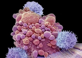 این ماده غذایی خواص ضد سرطان دارد