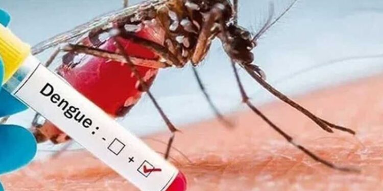 ارتقای سطح آگاهی کادر درمان و مردم پیش‌نیاز کنترل و مقابله با پشه آئدس و تب دنگی