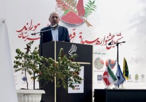سماق هوراند، مرغوب ترین سماق کشور