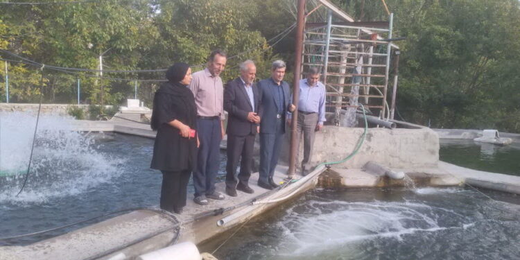 استفاده از عرقیات گیاهی برای پرورش ماهی در آذربایجان شرقی