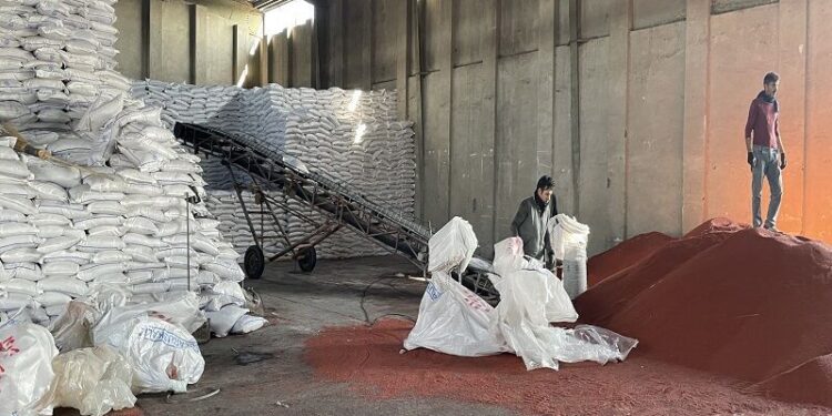 ۸۰ درصد کود اوره کشت پائیزه هشترود توزیع شد