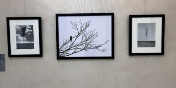 مجید صباغ بهروز با ۱۸ قطعه عکس دنیای درون خود را بازنمایی کرد