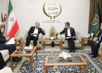 صدور مجوز ویژه واردات نهاده برای آذربایجان شرقی/ تأمین خوراک دام بدون پرداخت پول و با تهاتر شیر