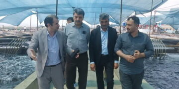 تکمیل زنجیره تولید، گامی برای تضمین سلامت محصولات شیلاتی در مجتمع شهید سلیمانی