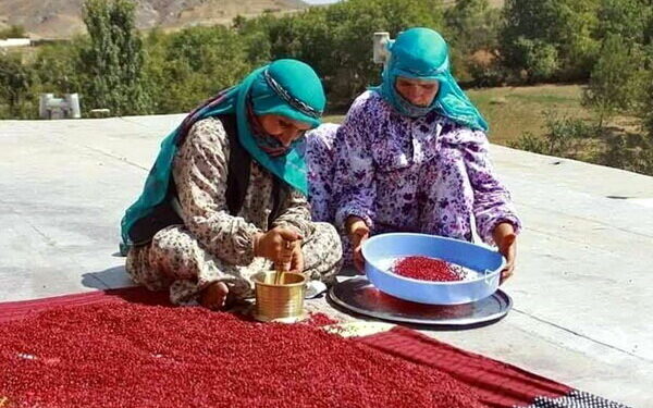 سماق هوراند در مسیر بازارهای جهانی؛ ثبت ملی و نشان لیسیوم برای تسهیل صادرات 1 سماق هوراند در مسیر بازارهای جهانی؛ ثبت ملی و نشان لیسیوم برای تسهیل صادرات