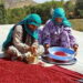 سماق هوراند در مسیر بازارهای جهانی؛ ثبت ملی و نشان لیسیوم برای تسهیل صادرات